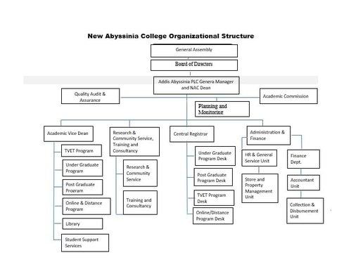 New Abyssinia College Organization Structure
